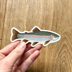 May include: A colorful embroidered patch of a rainbow trout. The fish features shades of brown, green, pink, and blue, with detailed scales and fins. The patch is held by a hand against a wooden background, showcasing the patch's design.