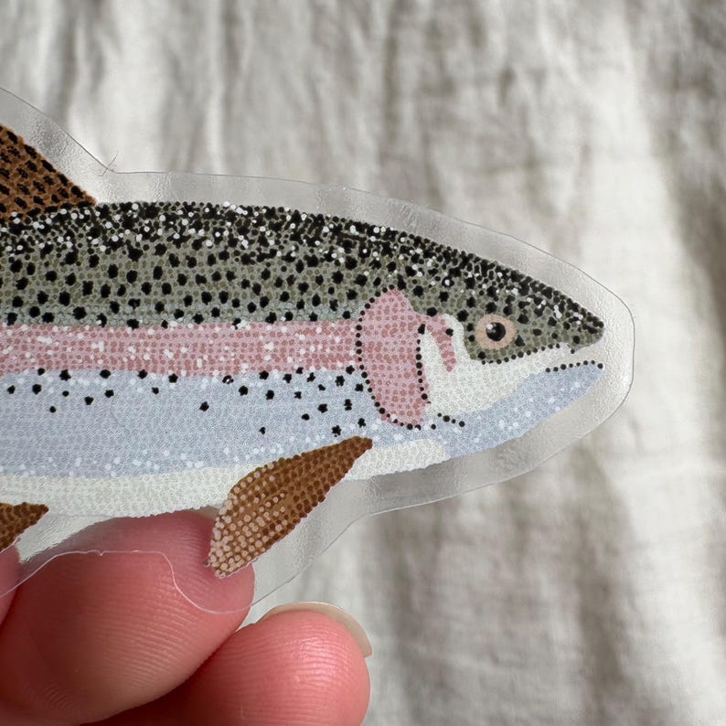 Rainbow Trout Sticker - vinyl sticker, phone case sticker, water bottle sticker, PVC free sticker, Weather Resistant, waterproof image 3