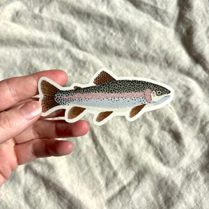 May include: A colorful sticker of a rainbow trout. The fish has a gray body with a pink stripe, black spots, and brown fins. The sticker is on a white background.