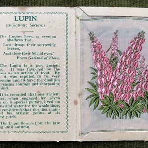 May include: A vintage card featuring an embroidered image of pink lupine flowers. The card includes text about the lupine flower, its history, and its symbolism. The text reads "Lupin (Dejection; Sorrow.)" and "The Lupins here, as evening shadows rise, Low droop their sorrowing leaves, And close their humid eyes." From Garland of Flora.