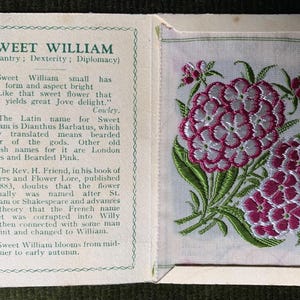 Sweet William Kensitas embroidered cigarette silk flowers in cardboard cover 1930's medium size: 5.5cm wide 7.6cm high