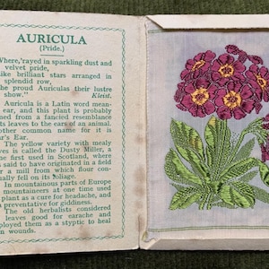 Auricula Kensitas embroidered cigarette silk flowers in cardboard cover 1930's medium size: 5.5cm wide 7.6cm high