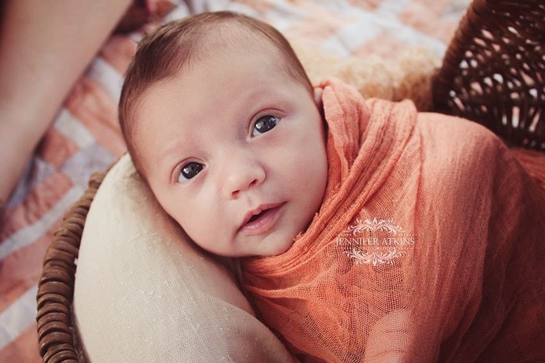 Harvest Orange Cheesecloth baby wrap high grade, photography prop image 1