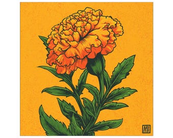 Marigold Orange Car Magnets Flower Back to School Gift Floral Vehicle Decoration Outside Car Botanical Art Indoor or Outdoor Magnet Durable