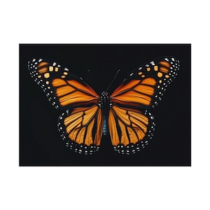 May include: A monarch butterfly with orange and black wings, set against a black background. The butterfly's wings are open, showcasing intricate patterns and white spots along the edges. The image highlights the butterfly's symmetrical design.