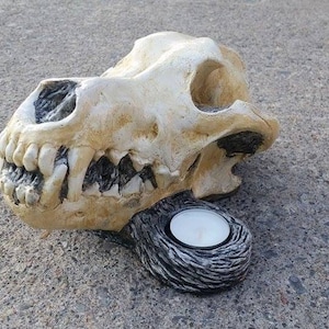 Wolf Skull Candle Holder