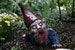 Forest Stump Crawling Zombie Gnome 