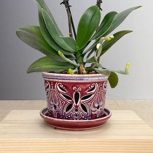 Peut inclure: Une orchidée Phalaenopsis magenta vibrante avec deux tiges fleuries et des feuilles vertes, plantée dans un pot en céramique rouge foncé avec des découpes en forme de papillon et une soucoupe assortie, soutenue par deux tuteurs noirs.