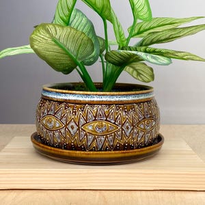 Puede incluir: Una planta en maceta con hojas verdes y blancas en una maceta de cerámica marrón con un diseño de ojos. La maceta descansa sobre un platillo a juego y un pequeño soporte de madera. La maceta tiene un borde azul y blanco.
