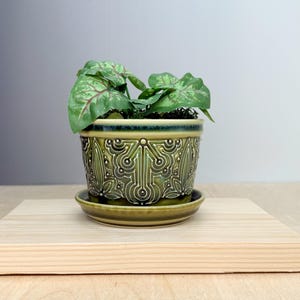 May include: A green ceramic planter with a matching saucer, filled with a small plant with green and pink leaves. The planter has a detailed, embossed design. The setup is on a light-colored wooden surface.