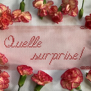 Quelle Surprise French Handpainted Needlepoint Canvas - Beginner Friendly!