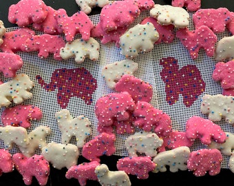 Lienzo bordado a mano con forma de galletas de animales de circo: ¡apto para principiantes!