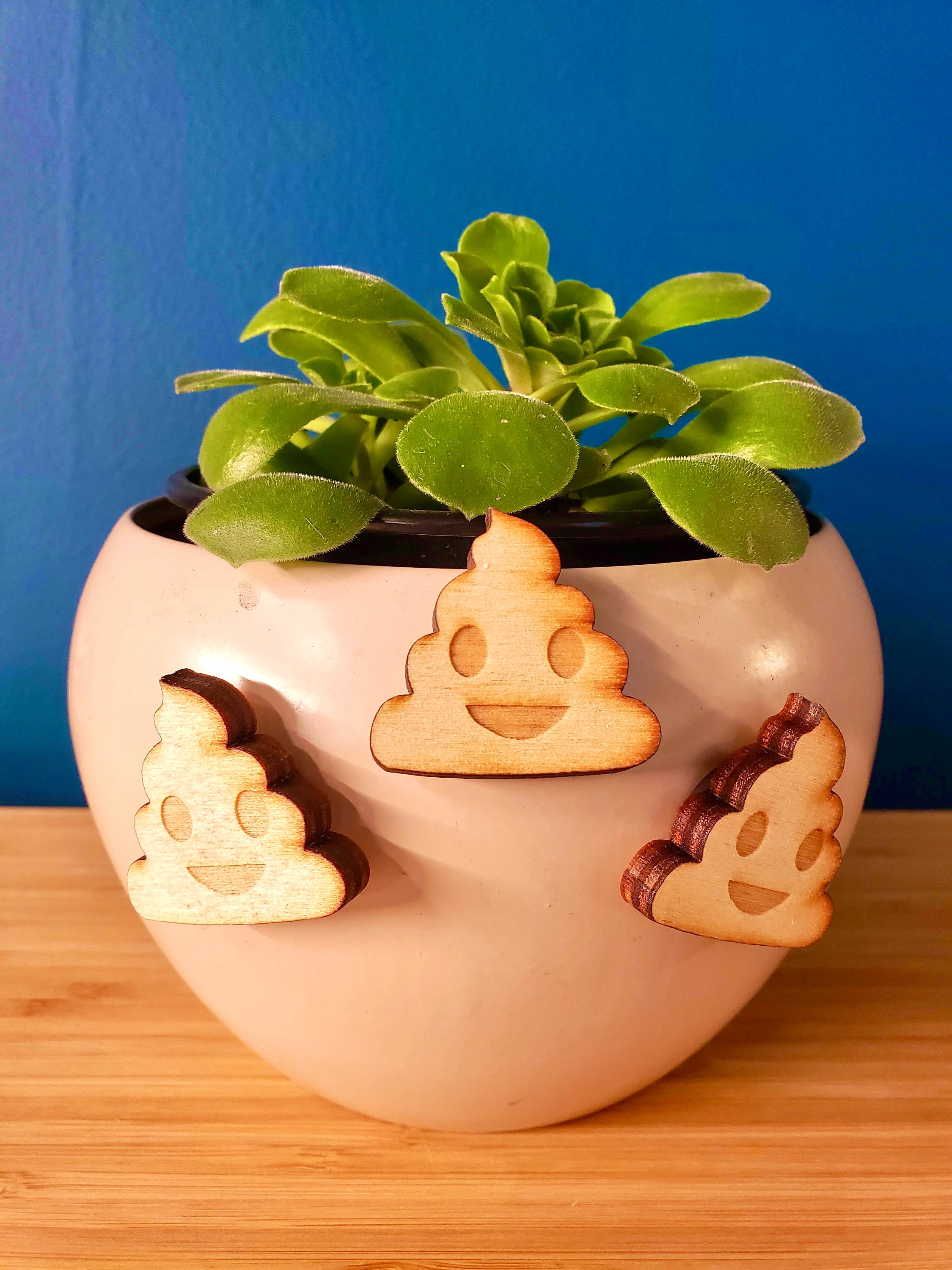 Poop Emoji Poop Gift Poop Emoji Present Poop Etsy