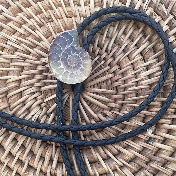 One of a Kind Real Fossil Ammonite Bolo Tie - Handmade Unique Leather Lariat Neck Tie with Cord Tone Tips Southwest Mens Shell Snail Cool