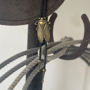 Cicada Bolo Tie - Western Gifts for Him - Leather Cowboy Necktie Accessories Mens Necklace Bug Insect Beetle Wing Brass Bola Man Accessories