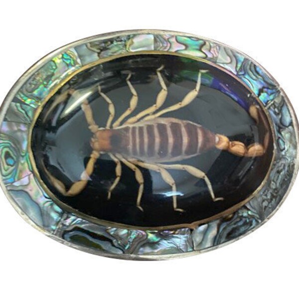 Vintage Real Encased Scorpion Belt Buckle - Large - Abalone Shell Arachnid Preserved - Inlay - Gifts for Him - Mexico Gag Gift Black Cowboy