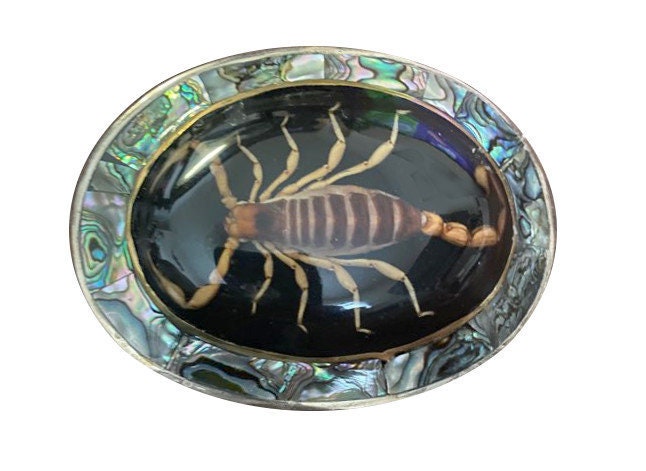 Vintage Real Scorpion Belt Buckle Large Abalone Shell