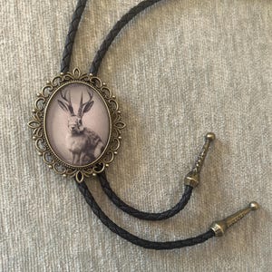 May include: A black bolo tie featuring an oval pendant with a sepia-toned image of a jackalope. The pendant is framed by an ornate, antique-gold colored border. The tie has a braided leather cord with decorative metal tips.