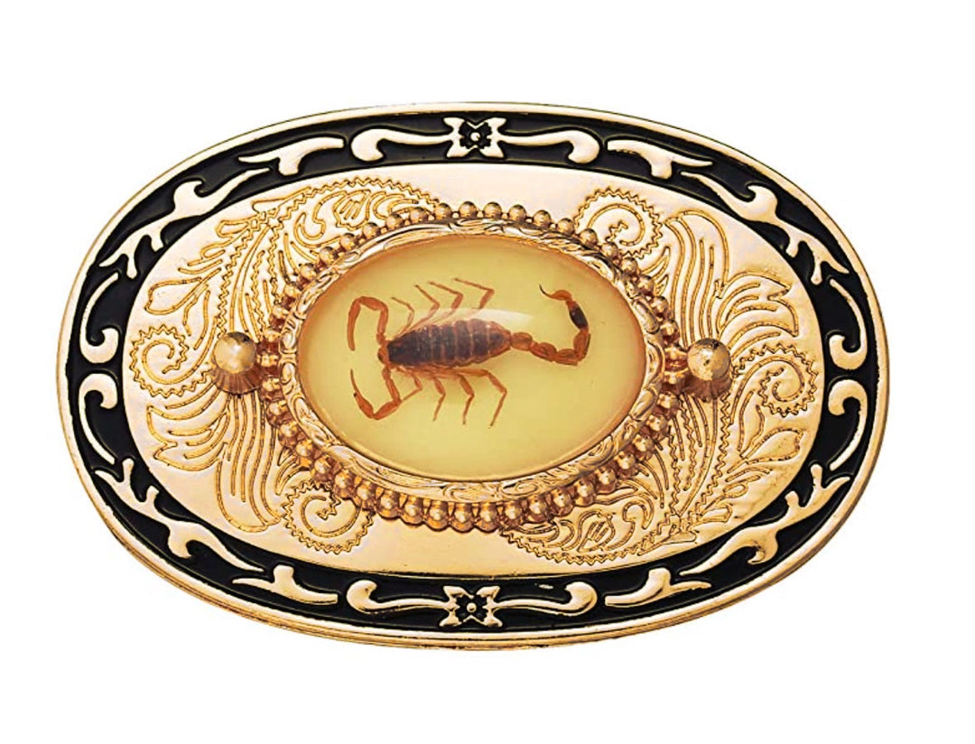 Real Encased Scorpion Belt Buckle Arachnid Preserved Inlay Gifts  for Him Cabochon Mexico Gag Gift Funny Western Engraved Escorpion 