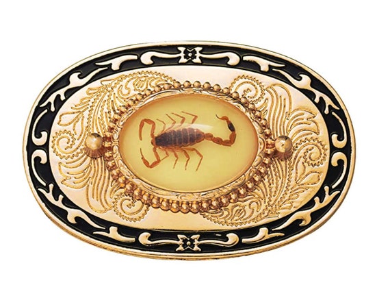 Real Encased Scorpion Belt Buckle Arachnid Preserved Inlay Gifts  for Him Cabochon Mexico Gag Gift Funny Western Engraved Escorpion