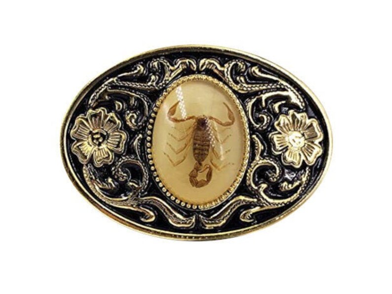 Real Encased Scorpion Belt Buckle Arachnid Preserved Etsy