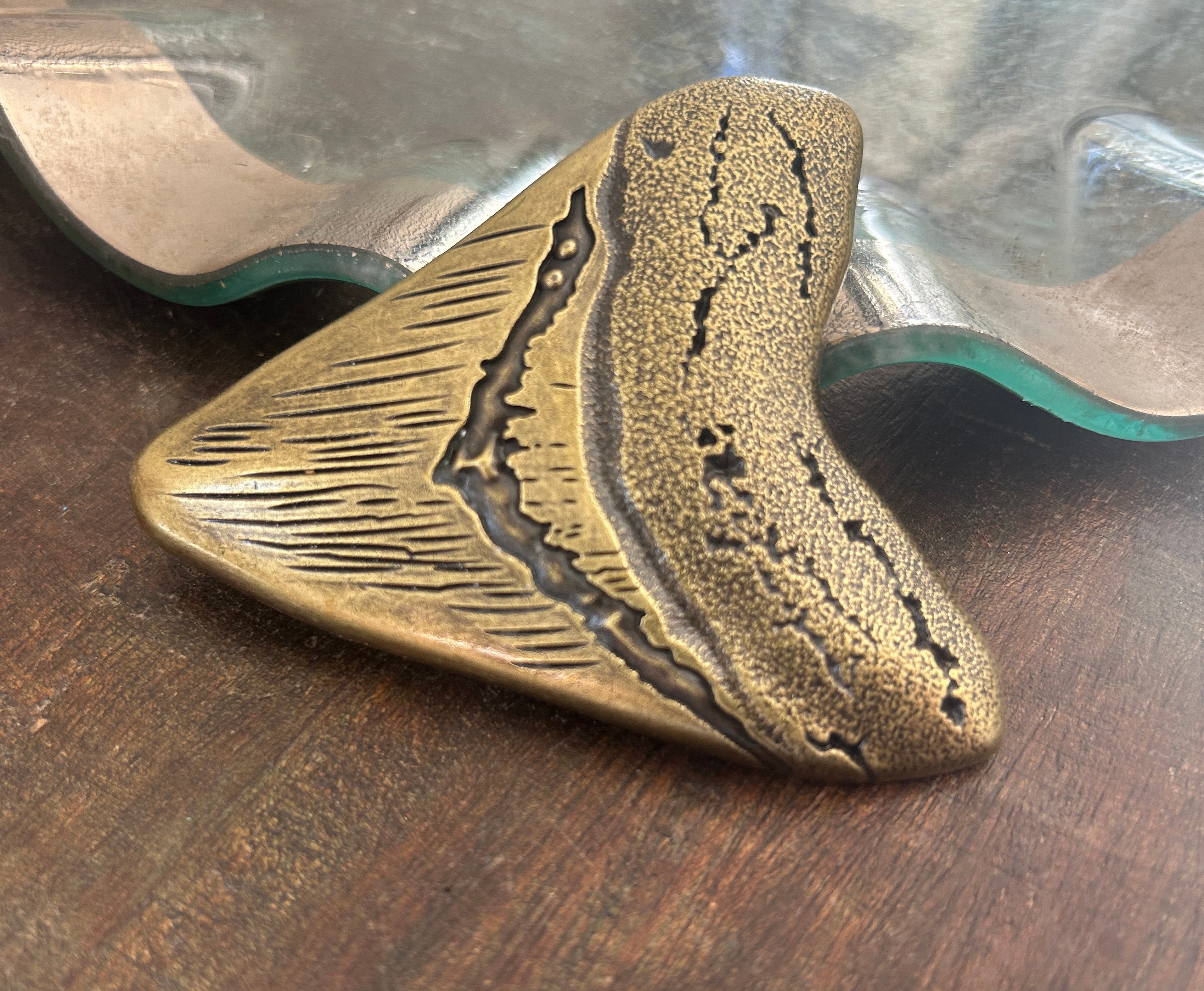 Large Sharks Tooth Belt Buckle: Fossil Style, Fits 1.5'' Strap