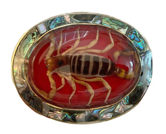 Scorpion Belt Buckle Arachnid 