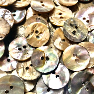 NATURAL ABALONE SHELL Buttons   D11