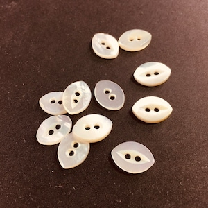 Può includere: Una collezione di bottoni ovali in madreperla bianca con due fori ciascuno.