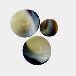 CLAM SHELL BUTTONS      D11