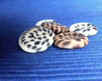 ANIMAL KINGDOM BUTTONS  C1