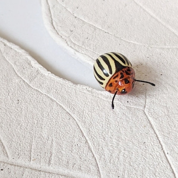 Colorado Potato Beetle Pin | Realistic Colorado Bug Push Pin | Small Insect Brooch