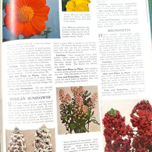 Beautiful 1960s Flower and Gardening Guide: The Complete Guide to Garden Flowers, An Encyclopedia of Garden Planning with Color Photos