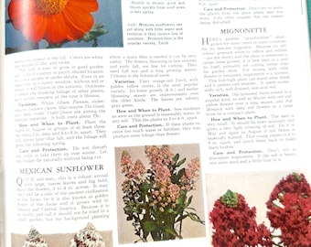 Beautiful 1960s Flower and Gardening Guide: The Complete Guide to Garden Flowers, An Encyclopedia of Garden Planning with Color Photos