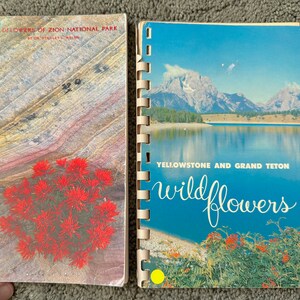 Zwei Vintage National Park Wildblumenführer: Yellowstone und Grand Teton, 1966, und Zion National Park, 1990