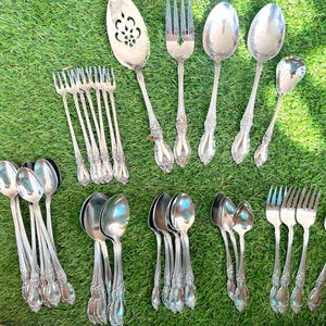Vintage Oneida Community Louisiana Stainless Flatware Replacement Pieces of All Types