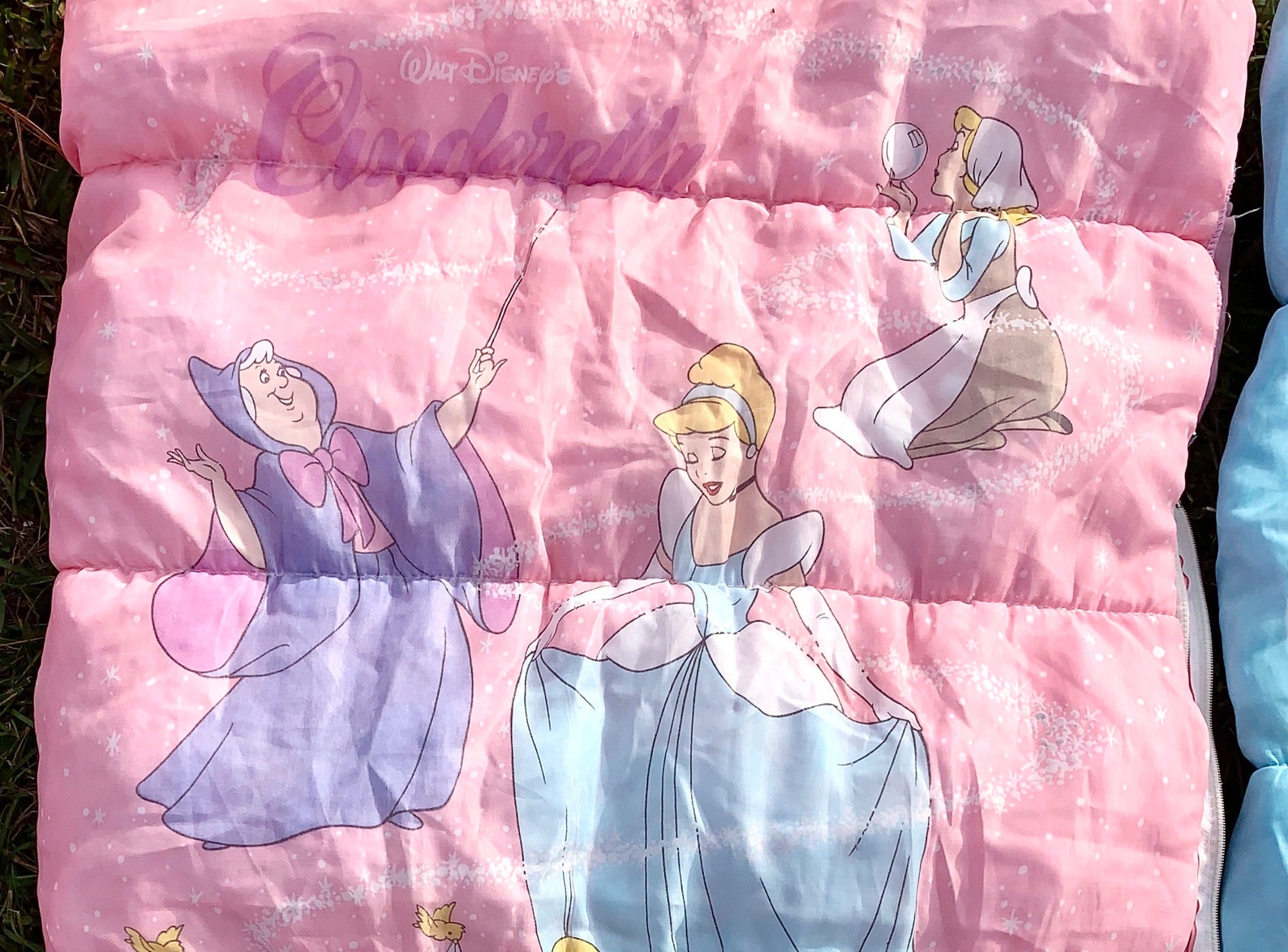 cinderella book bag