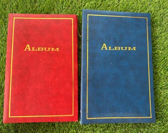 Paire d'albums photo vintage en rouge et bleu avec gravure dorée et anneaux de reliure en métal