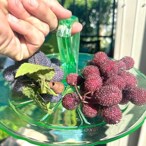 Trauben aus künstlichen Beeren mit Juwelenbesatz für die Weihnachtsdekoration / Vintage gezuckerte künstliche Beeren für weihnachtliche Tischlandschaften / Wählen Sie Ihre aus