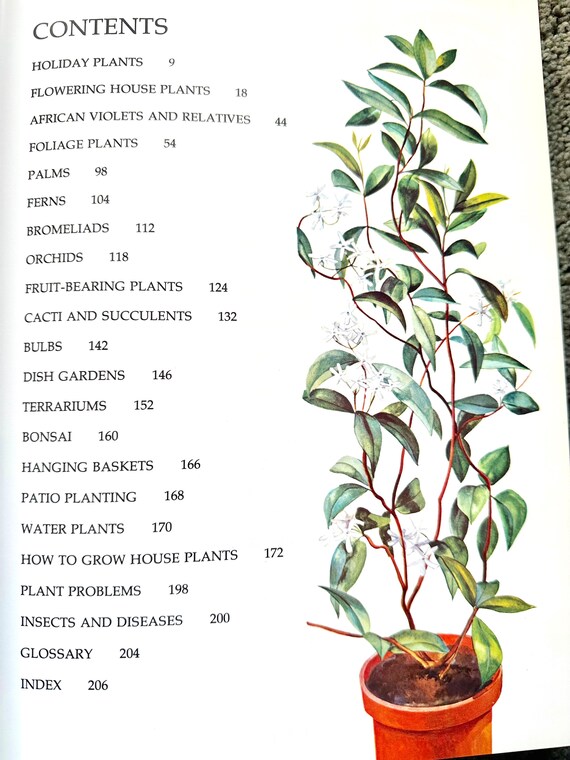 indoor multi plant stand Modern Elevated Planter and Plant Stand Set