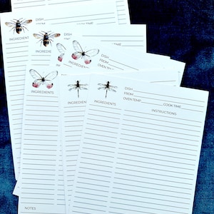 Gefütterte doppelseitige Rezeptkarten mit Bienen, Libellen, Motten / Darling Rezeptkarten auf schwerem Kartonpapier für Clip-Dateien oder 10,5 x 15,5 cm Box