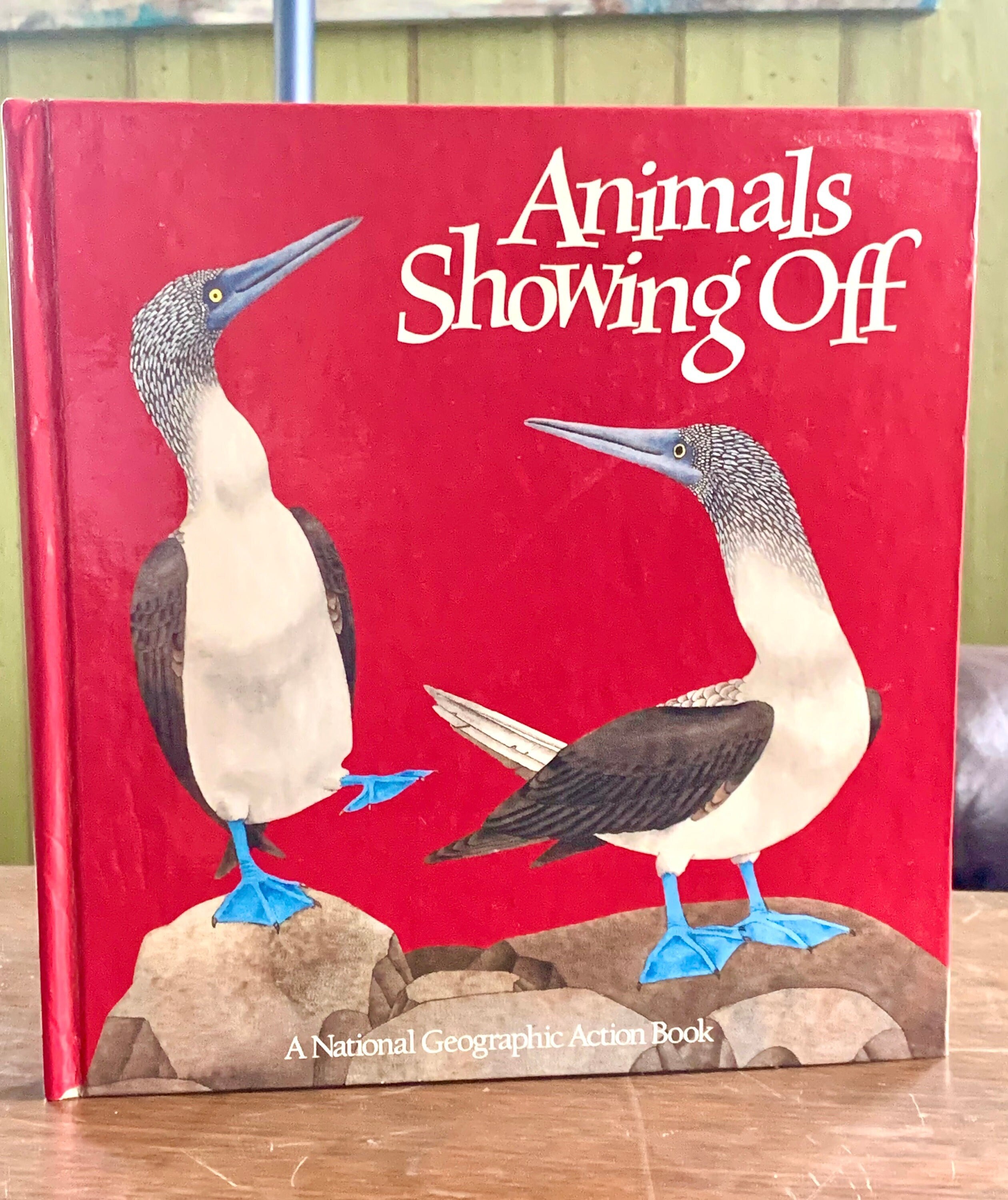 Vintage Pop-up Book animals Showing Off / the - Etsy Vintage Pop-up Book animals Showing Off / the - Etsy