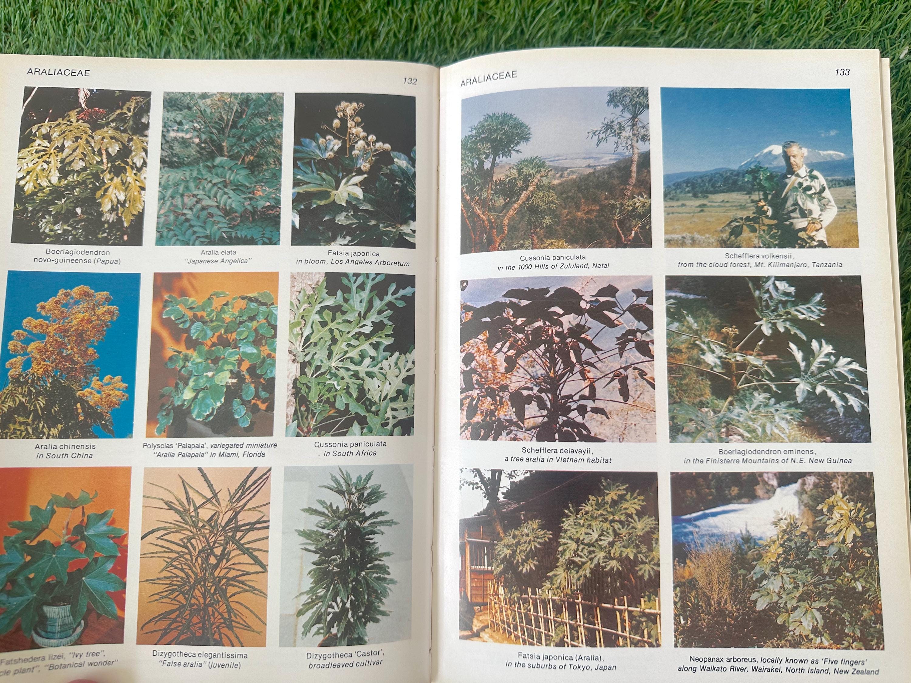 Vintage Tropical Plant Encyclopedia Packed With Color Photos