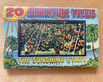 For Sarah: Linen Miniature Postcards / Old Florida Postcards / Mini Postcards Set of 20 "Miniature Views"