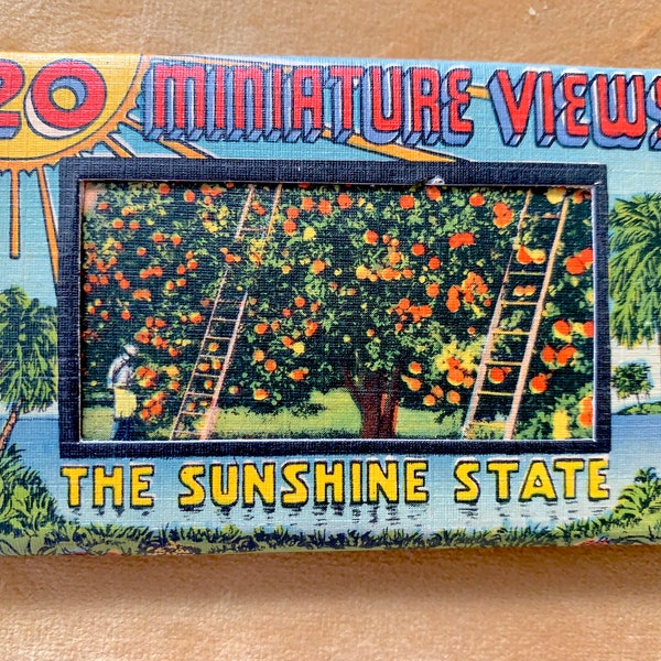 Vintage Linen Miniature Postcards / Old Florida Postcards / Mini Postcards Set of 20 "Miniature Views"