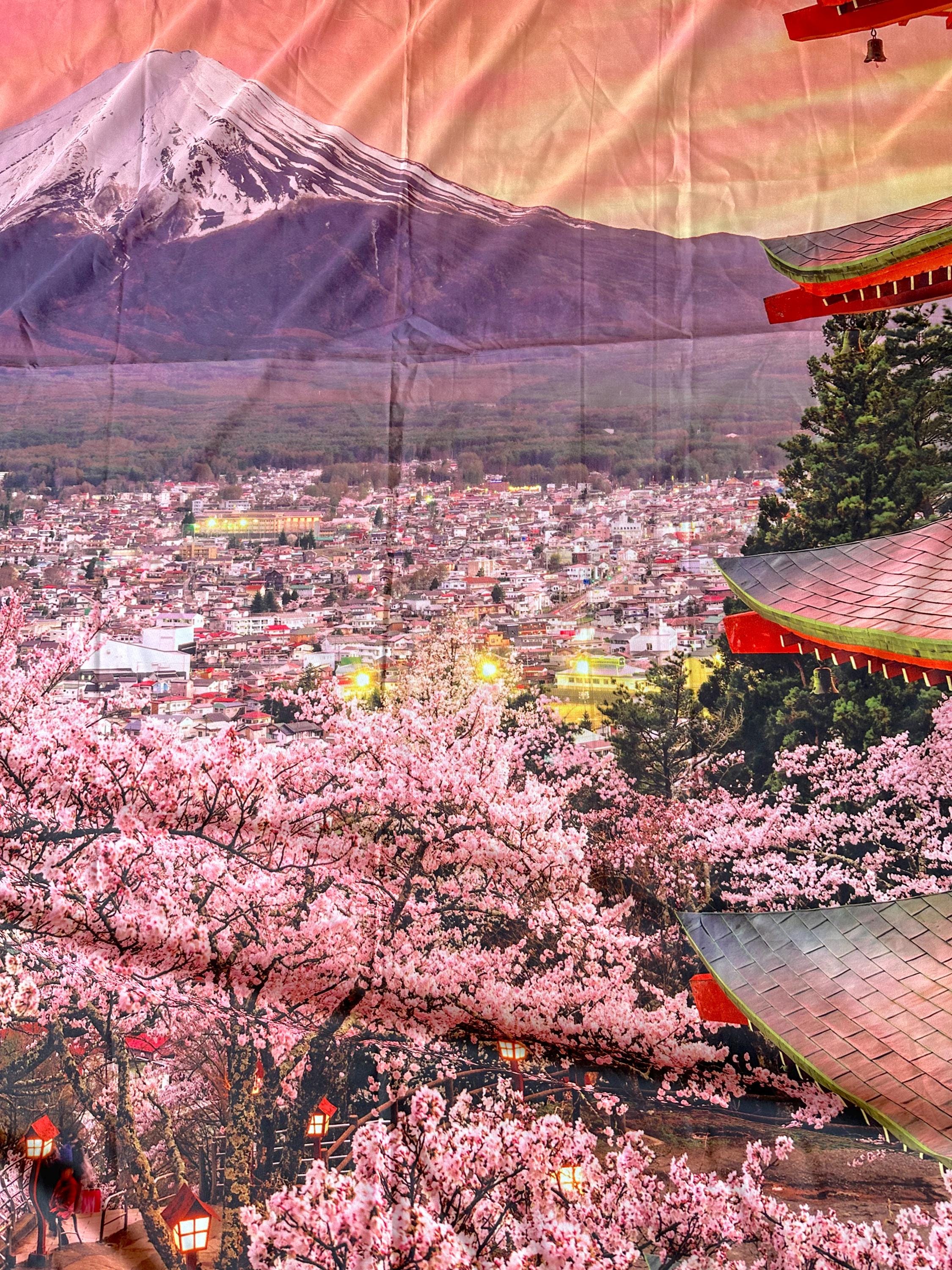 Japanese Design Backdrop Japanese Photo Backdrop or Party Decoration / 58