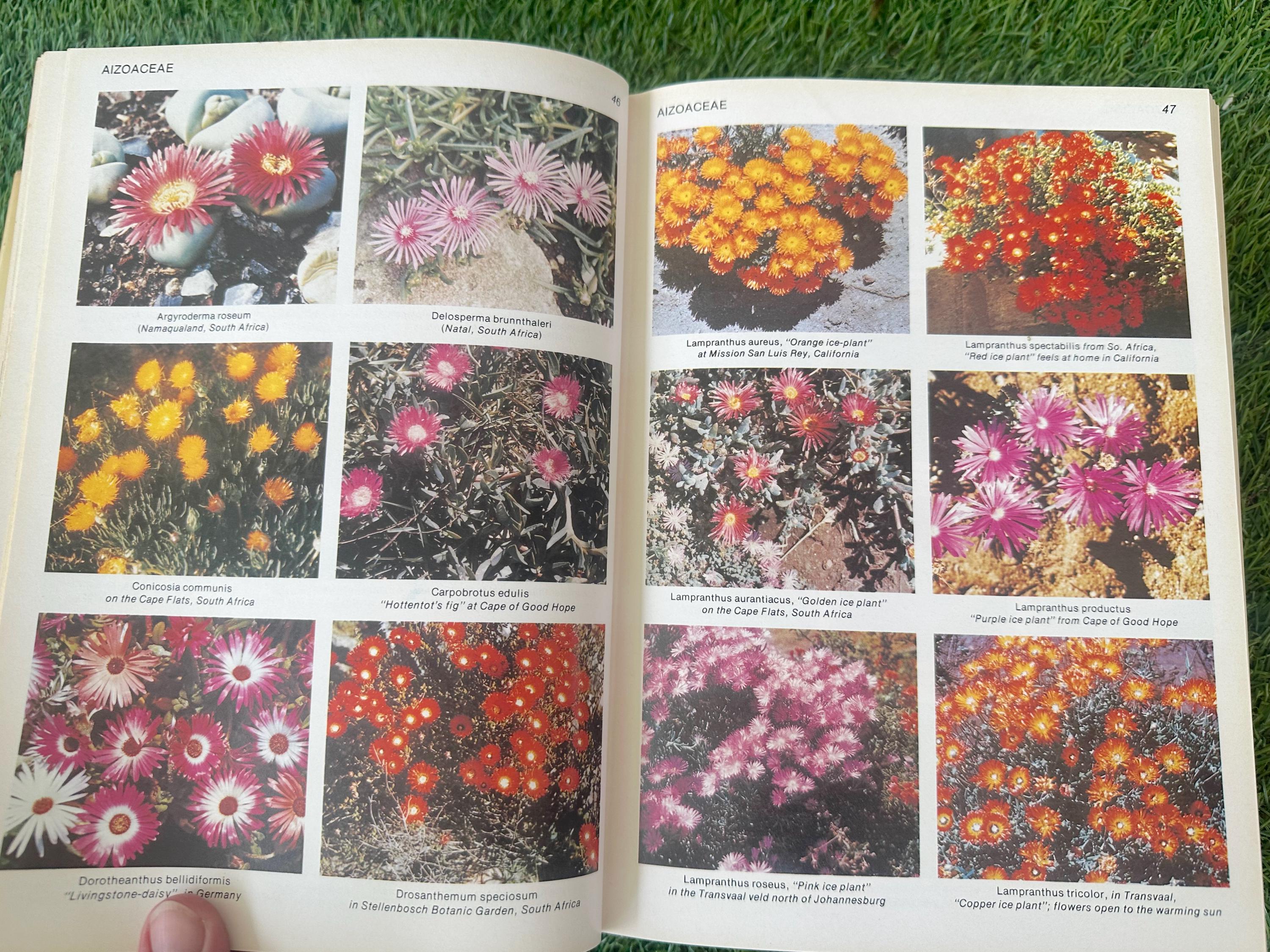 Vintage Tropical Plant Encyclopedia Packed With Color Photos