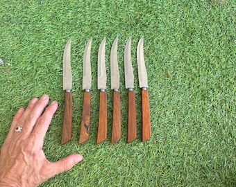 Vintage Voos Steak Knife Set / Six Vintage Steak Knives with Lovely Handles and Stainles Blades