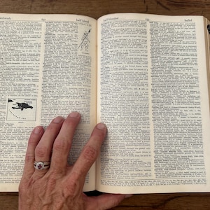 Beat Up Mid Century Dictionary with Illustrations and Thumb Tabs: Webster&#39;s New World Dictionary 1957