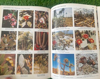 Vintage Tropical Plant Encyclopedia Packed With Color Photos